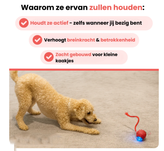 Zenvere PawFetch™ – De interactieve speelbal voor actieve honden
