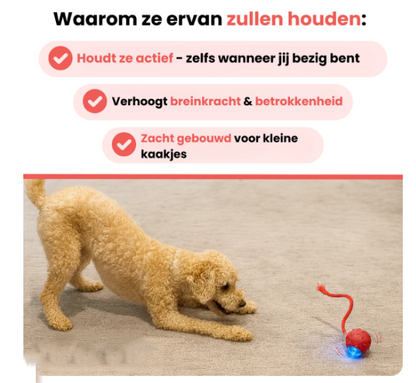 Zenvere PawFetch™ – De interactieve speelbal voor actieve honden
