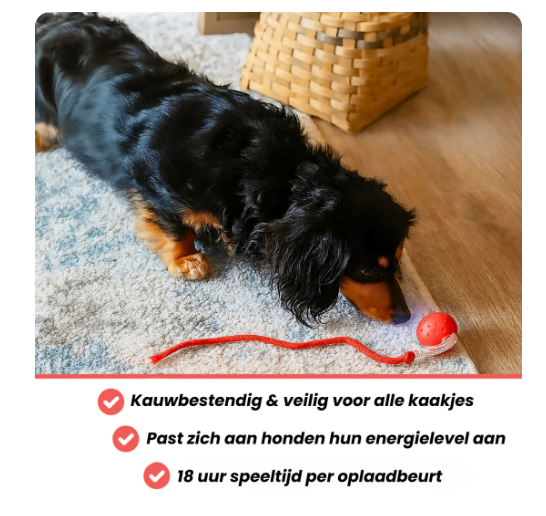 Zenvere PawFetch™ – De interactieve speelbal voor actieve honden