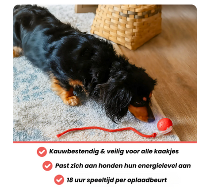 Zenvere PawFetch™ – De interactieve speelbal voor actieve honden
