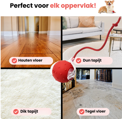Zenvere PawFetch™ – De interactieve speelbal voor actieve honden